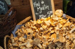 hedgehog-mushrooms-at-a-market-