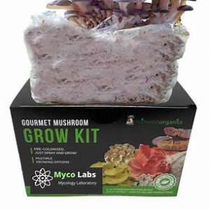 Blue Oyster Grow Kit in th UK