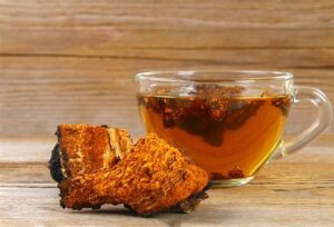 Chaga Mushroom Tea