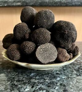 Fresh Perigord Black Winter Truffles